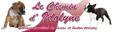 Du Chemin D'Idolyne